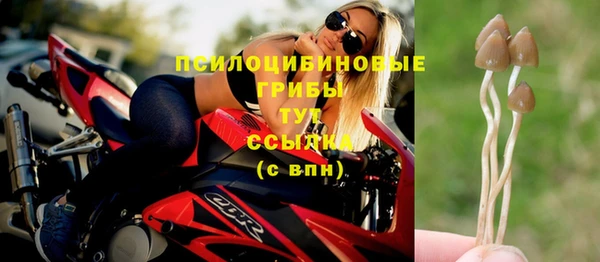крисы Алзамай