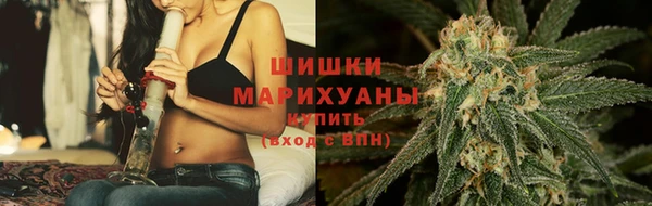 гидра Арсеньев